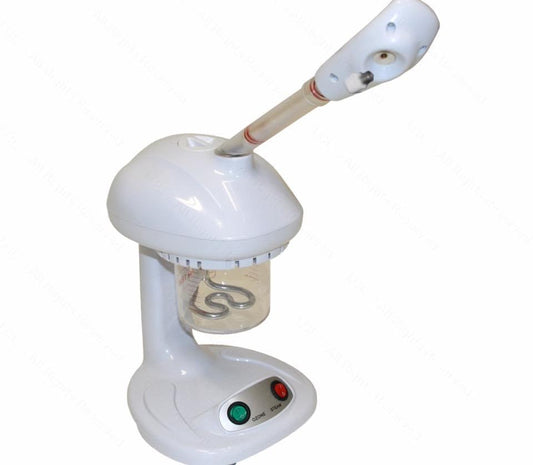 Portable steam with ozone and aromatherapy